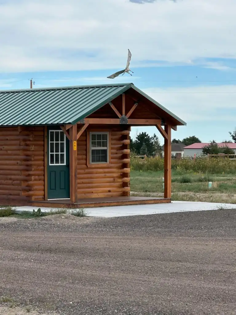 Green-roofed log camping cabin with covered porch on a sunny day