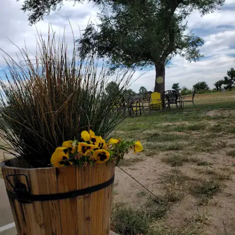 Flower planter and shaded patio seating on the campground lawn